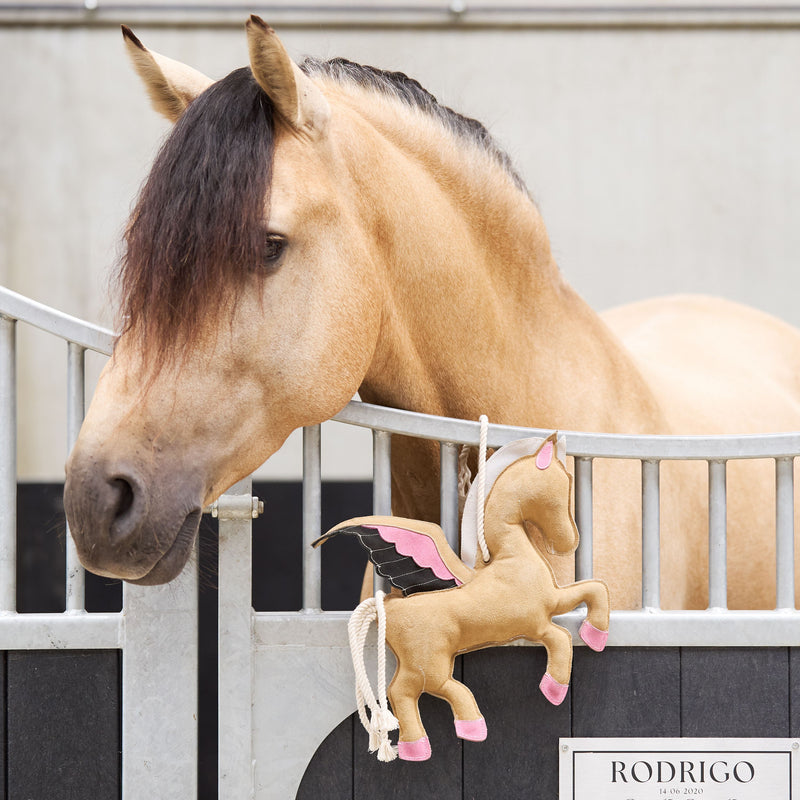 Chargez l'image dans la visionneuse de la galerie, Jouet IRH Pegasus