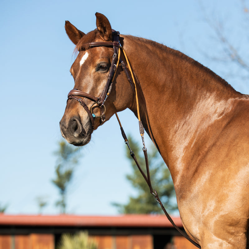 Chargez l'image dans la visionneuse de la galerie, Gogue