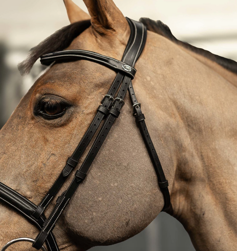 Chargez l'image dans la visionneuse de la galerie, HFI PRO LINE - BRIDON COMBINE "MILANO"