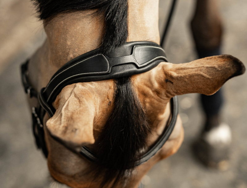 Chargez l'image dans la visionneuse de la galerie, HFI PRO LINE - BRIDON COMBINE "MILANO"