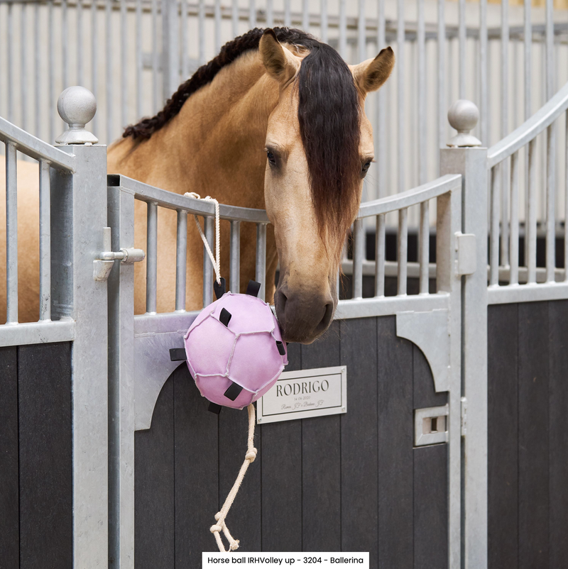 Chargez l'image dans la visionneuse de la galerie, Horse ball IRH-Volley up