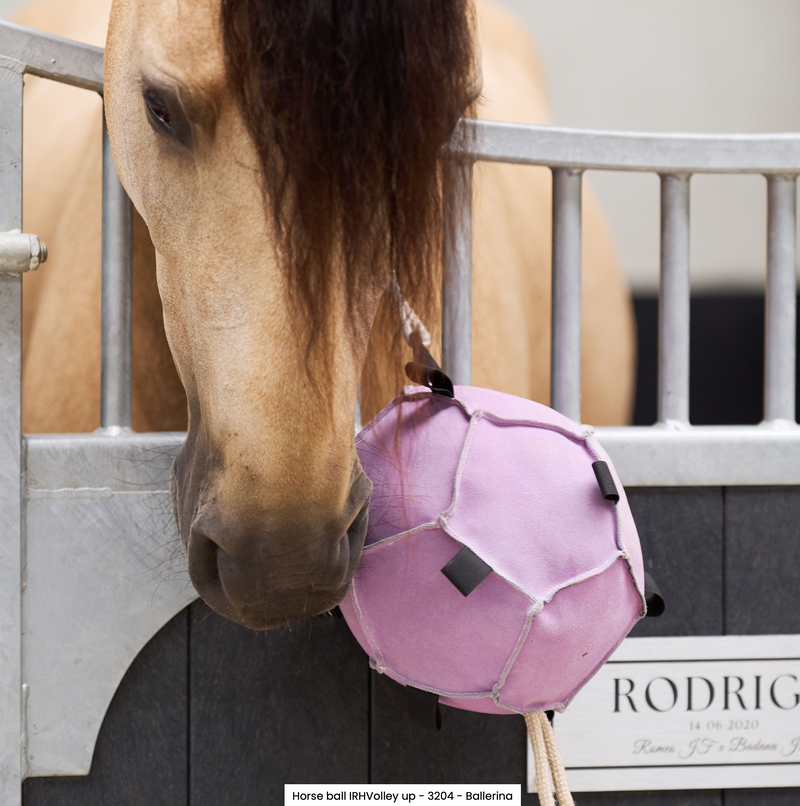 Chargez l'image dans la visionneuse de la galerie, Horse ball IRH-Volley up