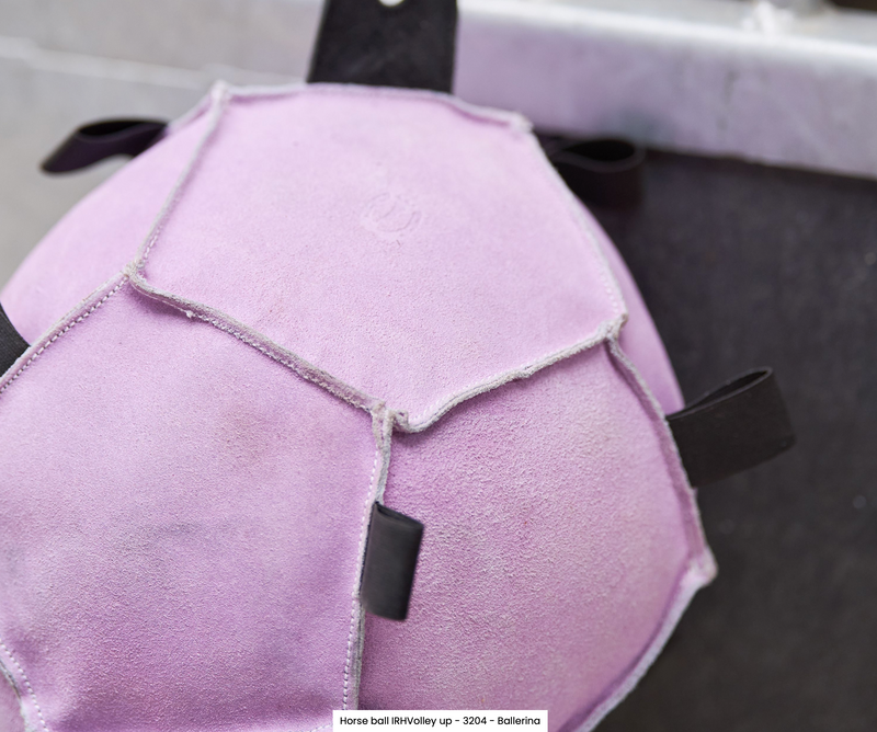 Chargez l'image dans la visionneuse de la galerie, Horse ball IRH-Volley up