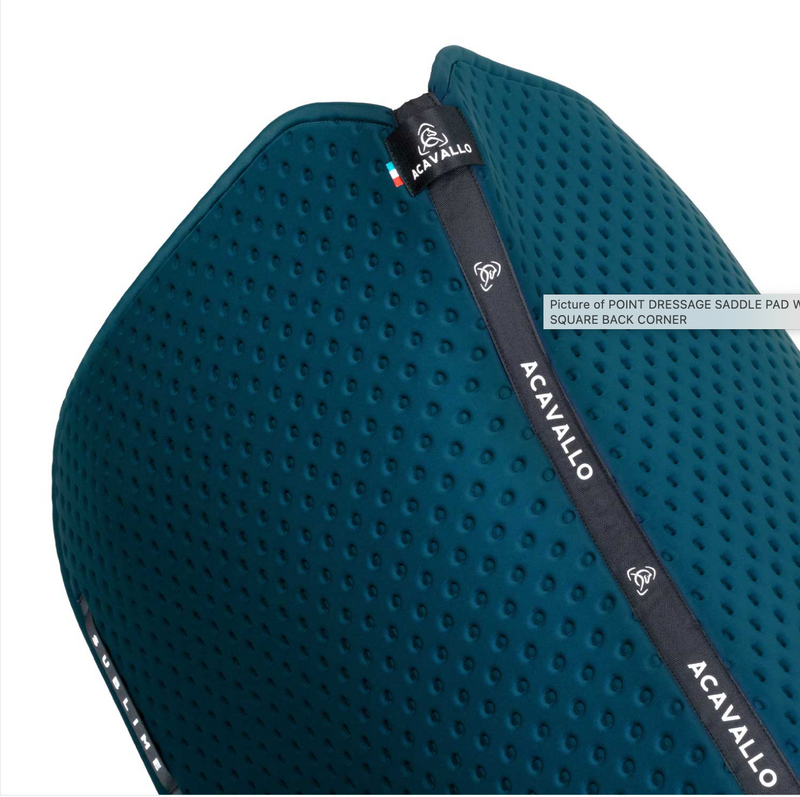 Chargez l'image dans la visionneuse de la galerie, Tapis de selle Point Coin carrés