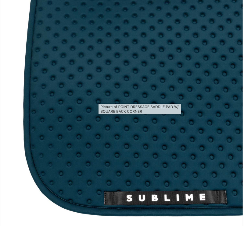 Chargez l'image dans la visionneuse de la galerie, Tapis de selle Point Coin carrés