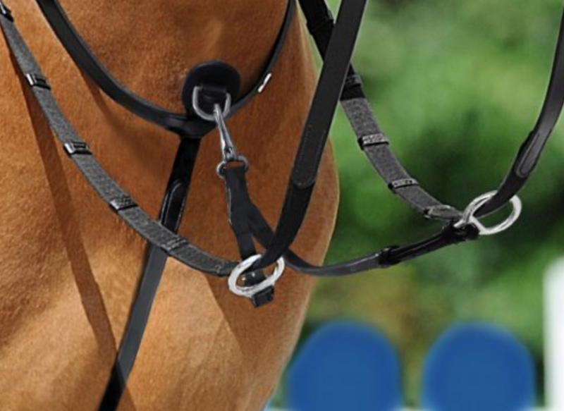 Chargez l'image dans la visionneuse de la galerie, Fourche de martingale PASSIER