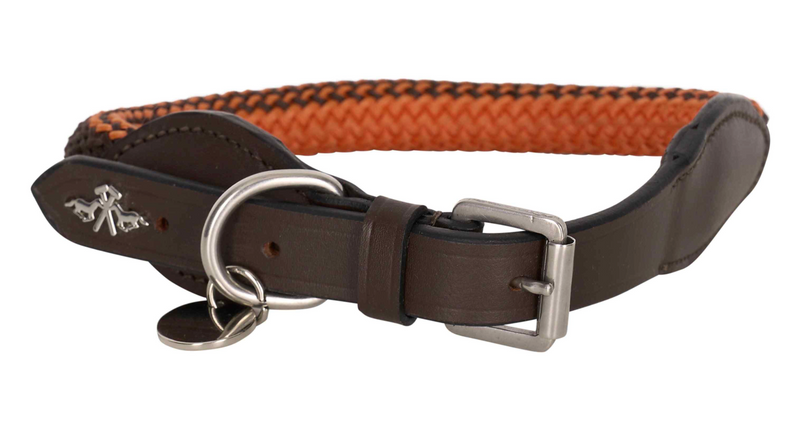 Chargez l'image dans la visionneuse de la galerie, Collier pour chien HVPFranck Rope HV Polo