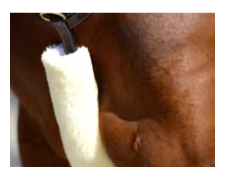 Chargez l'image dans la visionneuse de la galerie, Fourreaux de collier et rênes en mouton