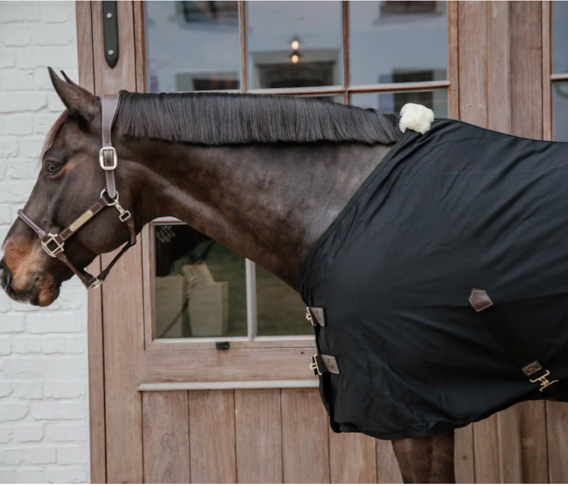 Chargez l'image dans la visionneuse de la galerie, Chemise d'écurie