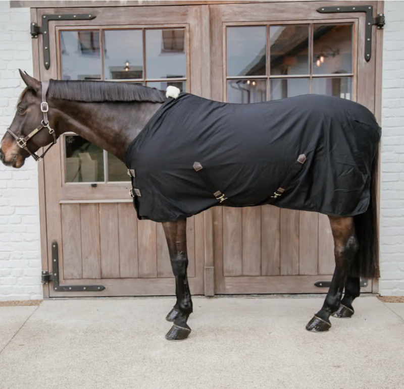 Chargez l'image dans la visionneuse de la galerie, Chemise d'écurie