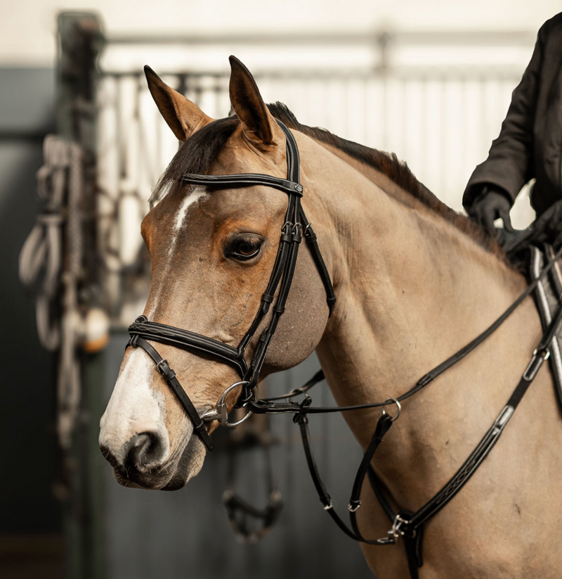 Chargez l'image dans la visionneuse de la galerie, HFI PRO LINE - BRIDON COMBINE "MILANO"