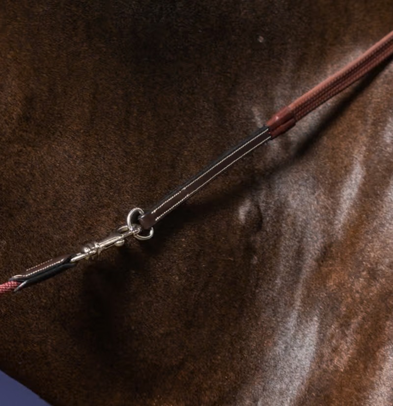 Chargez l'image dans la visionneuse de la galerie, Rênes de Gogue WORK