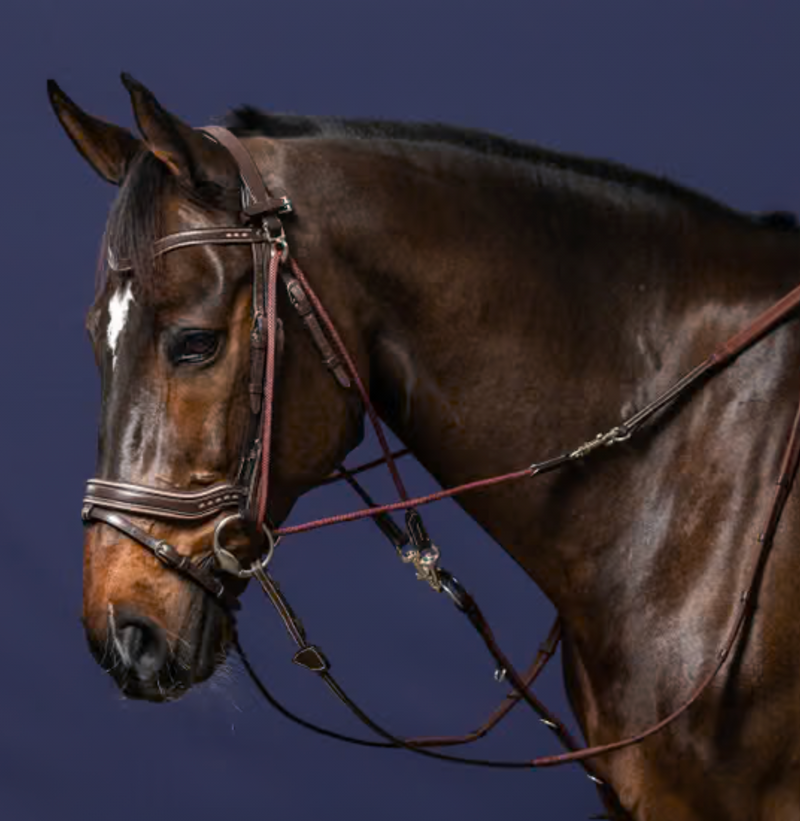 Chargez l'image dans la visionneuse de la galerie, Rênes de Gogue WORK