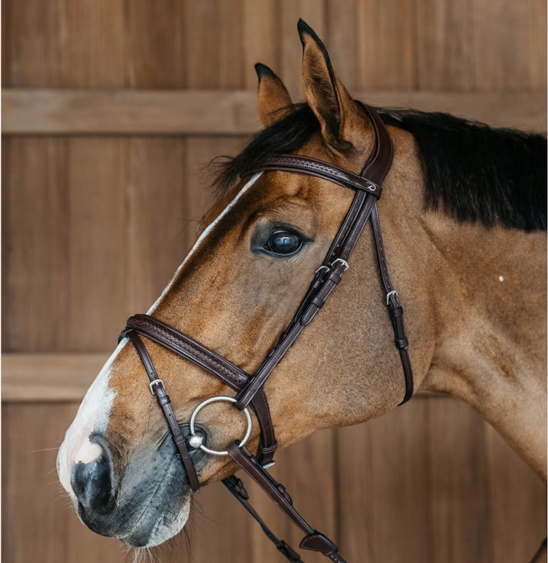 Chargez l'image dans la visionneuse de la galerie, Bridon NE tressé