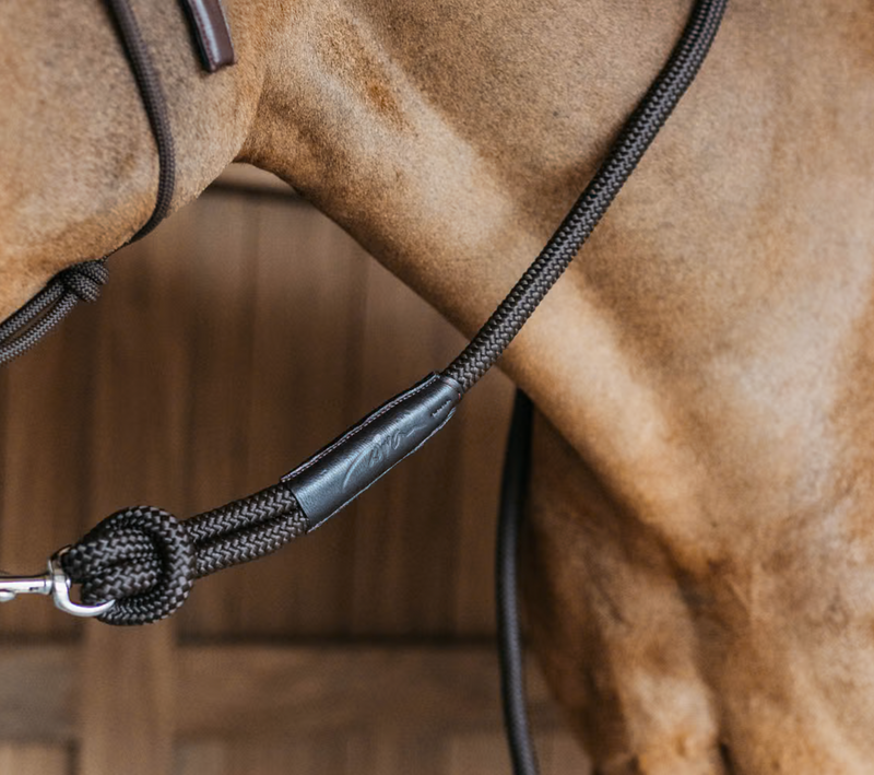 Chargez l'image dans la visionneuse de la galerie, Longe Avec Mousqueton detachable 2 M