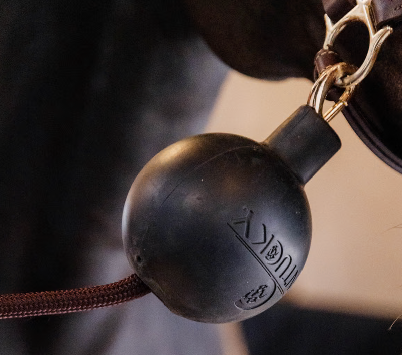 Chargez l'image dans la visionneuse de la galerie, Balle protection d'attache