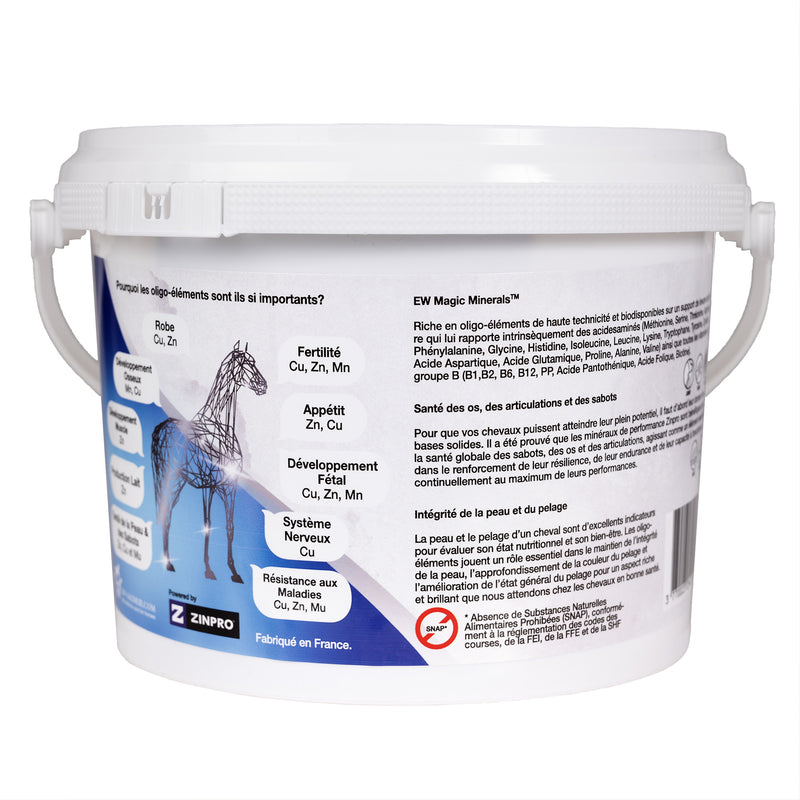 Chargez l'image dans la visionneuse de la galerie, EW Magic Minerals