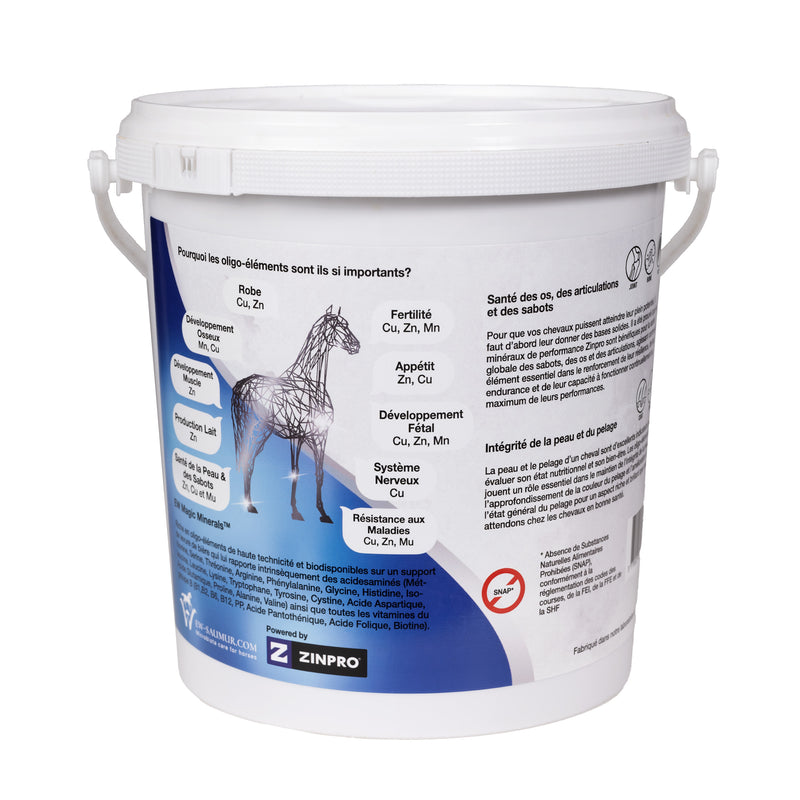 Chargez l'image dans la visionneuse de la galerie, EW Magic Minerals