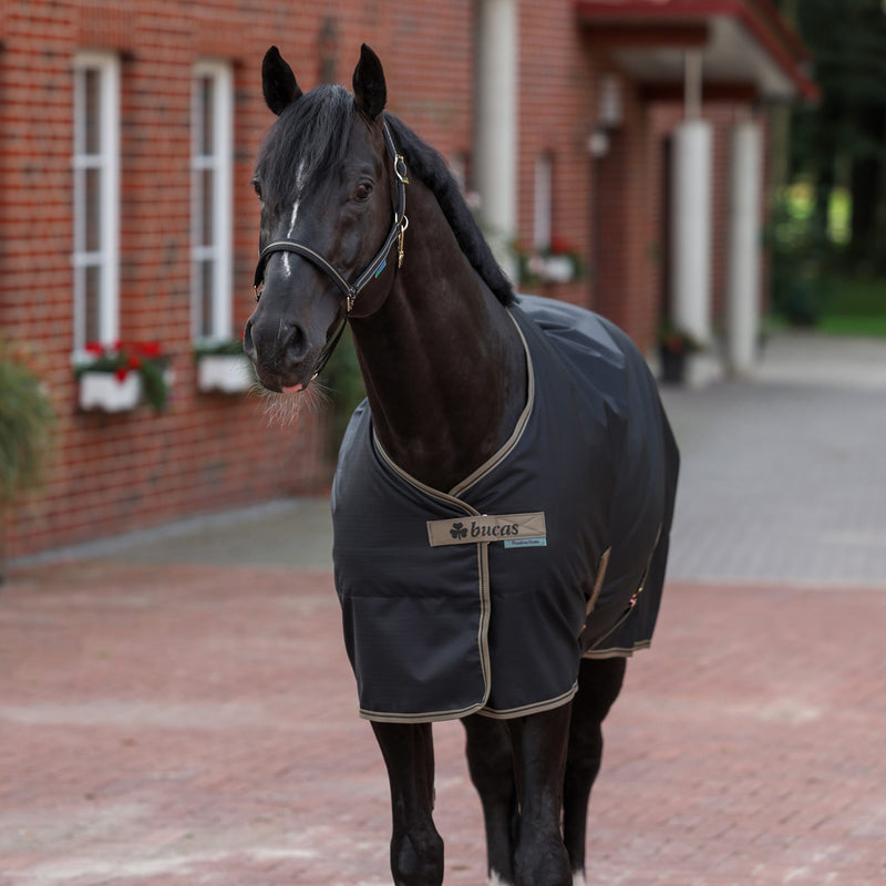 Chargez l'image dans la visionneuse de la galerie, Freedom stable