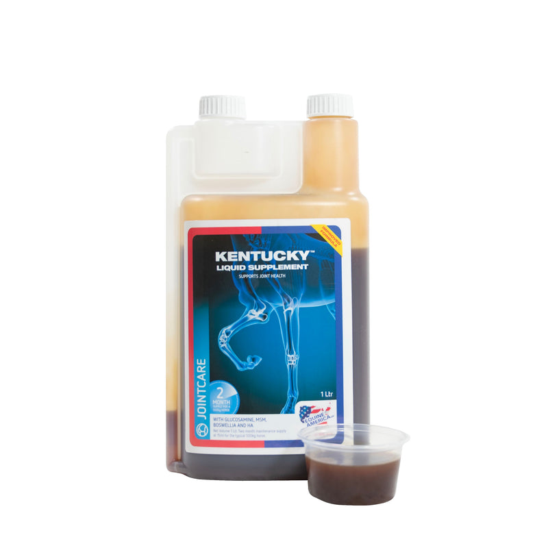 Chargez l'image dans la visionneuse de la galerie, Kentucky Joint Solution 1 L – flacon doseur