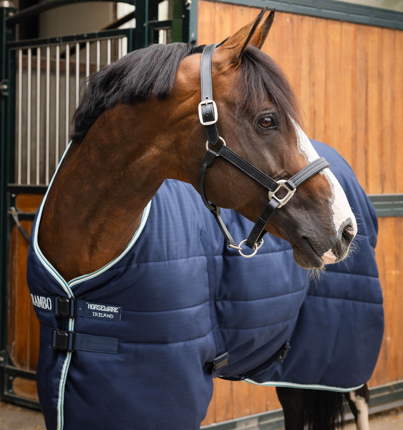 Chargez l'image dans la visionneuse de la galerie, Couverture d'écurie Rambo Stable fermeture magnétique 200 g AAB006 - Navy/Witney Dynasty (BGHD)