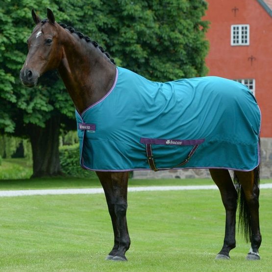 Chargez l'image dans la visionneuse de la galerie, Freedom Twill Sheet