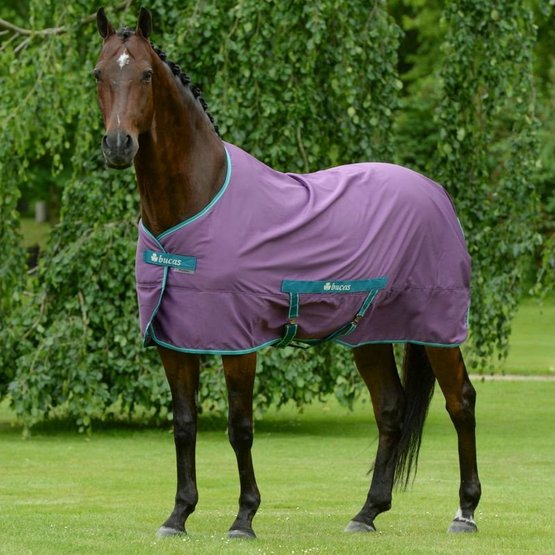 Chargez l'image dans la visionneuse de la galerie, Freedom Twill Sheet