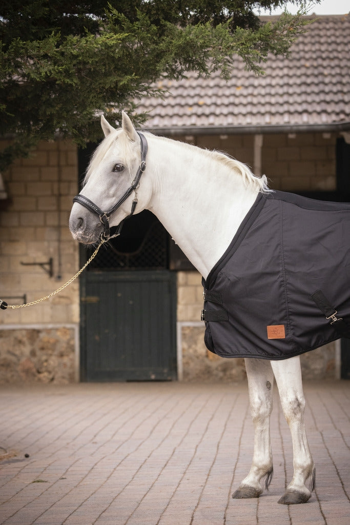 Chargez l'image dans la visionneuse de la galerie, Chemise Light Mesh