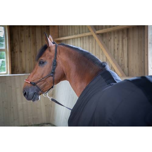 Chargez l'image dans la visionneuse de la galerie, Chemise Light Mesh