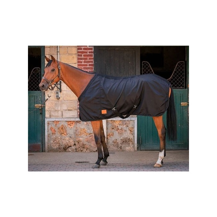 Chargez l'image dans la visionneuse de la galerie, Chemise Light Mesh