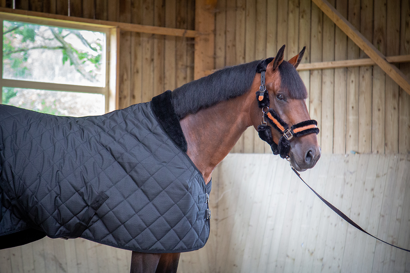 Chargez l'image dans la visionneuse de la galerie, Couverture Matelassée 50 gr Noire