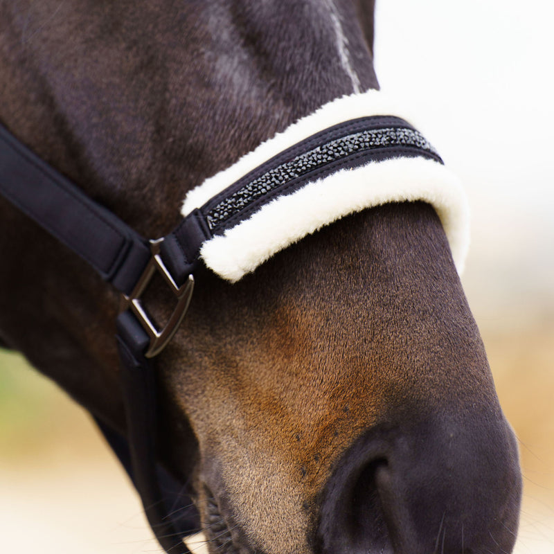 Chargez l'image dans la visionneuse de la galerie, Licol Jewel cheval