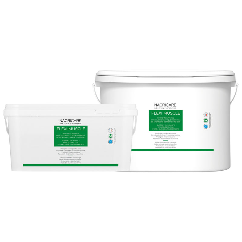 Chargez l'image dans la visionneuse de la galerie, Flexi Muscle