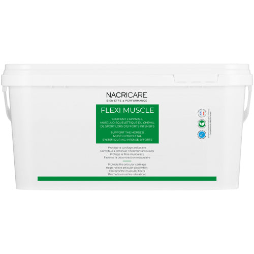 Chargez l'image dans la visionneuse de la galerie, Flexi Muscle