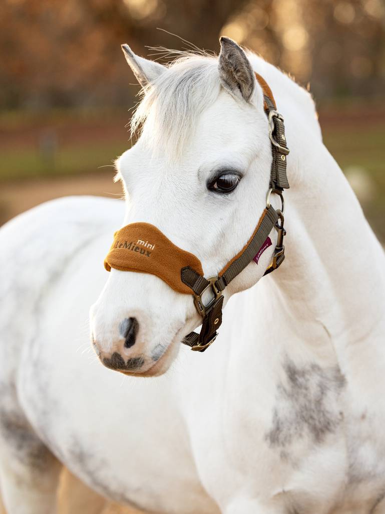 Chargez l'image dans la visionneuse de la galerie, Vogue fleece headcollar Poney