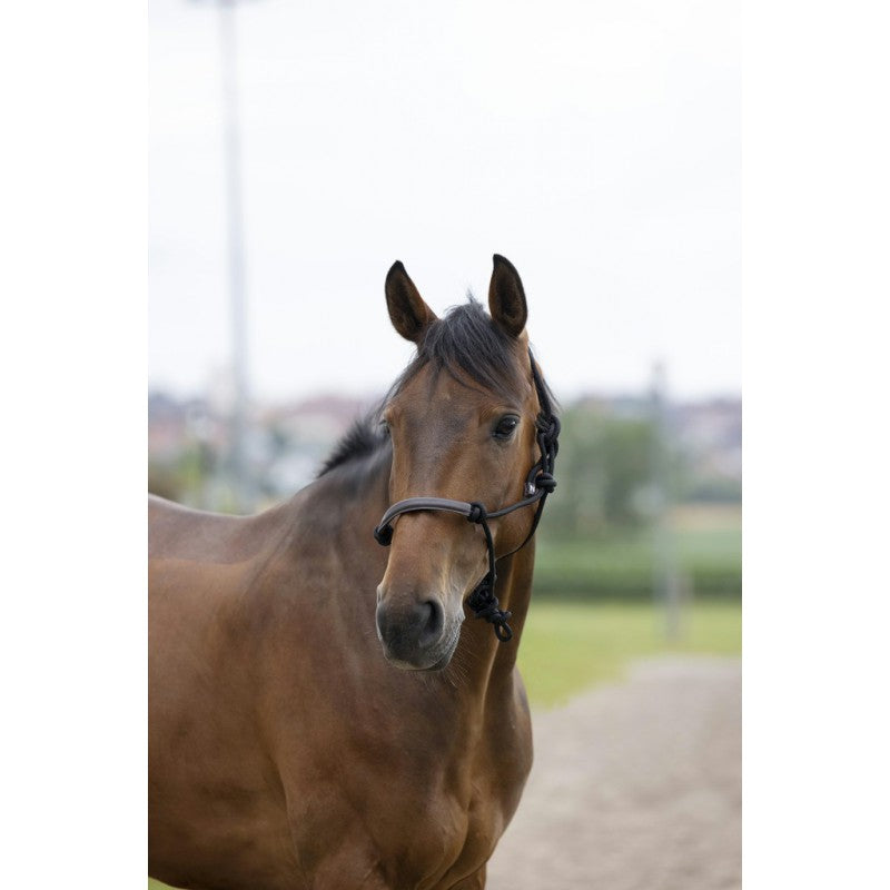 Chargez l'image dans la visionneuse de la galerie, Licol Ethologique Norton