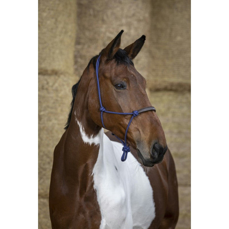 Chargez l'image dans la visionneuse de la galerie, Licol Ethologique Norton