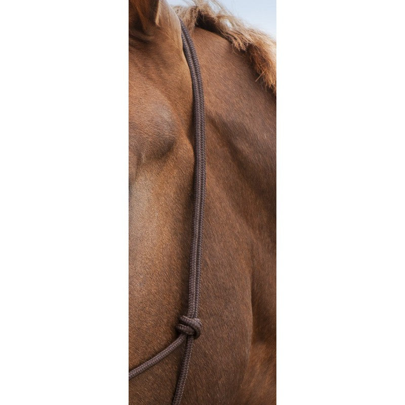 Chargez l'image dans la visionneuse de la galerie, Licol éthologique Norton Doux