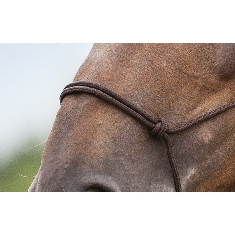 Chargez l'image dans la visionneuse de la galerie, Licol éthologique Norton Doux