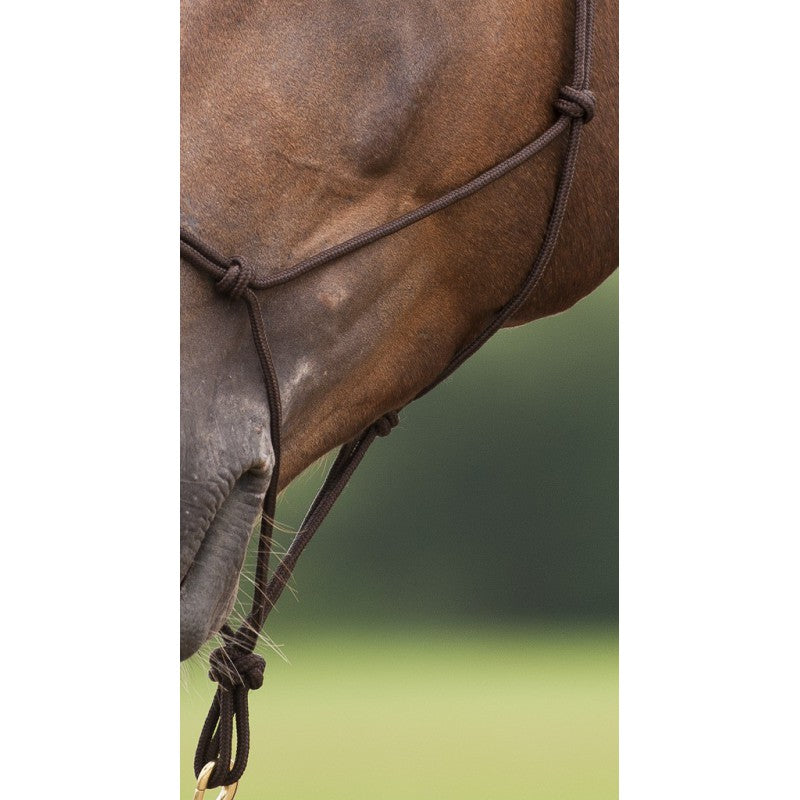 Chargez l'image dans la visionneuse de la galerie, Licol éthologique Norton Doux