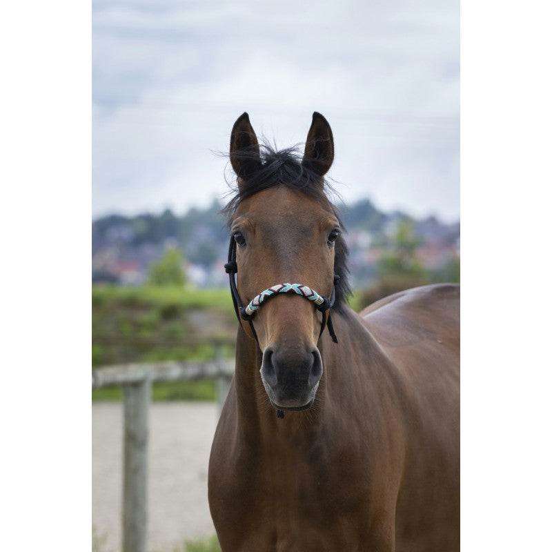 Chargez l'image dans la visionneuse de la galerie, Licol éthologique Norton "Pearl"