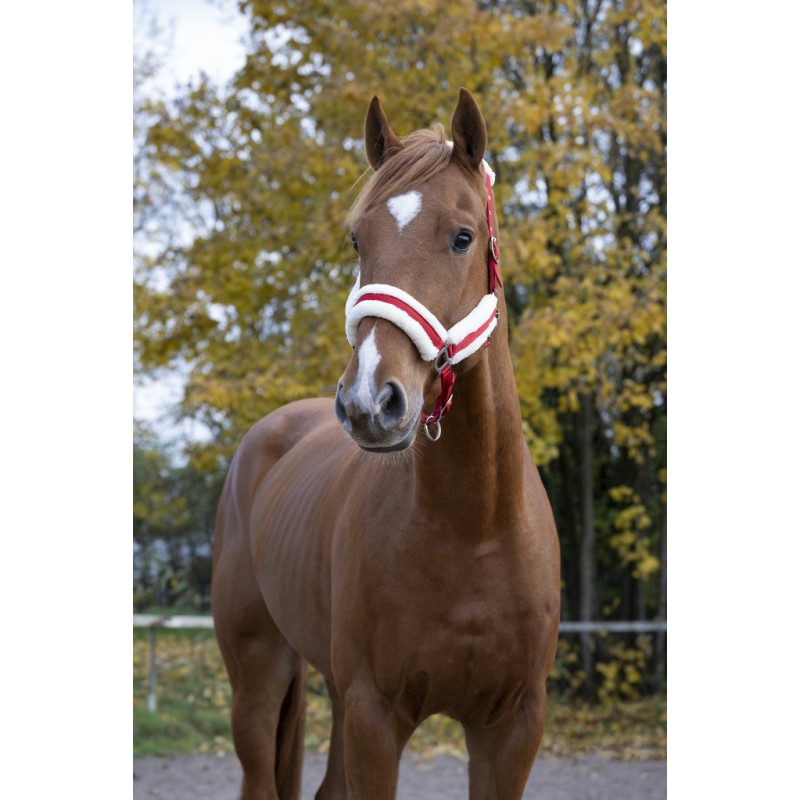 Chargez l'image dans la visionneuse de la galerie, Licol Nylon Mouton synthétique