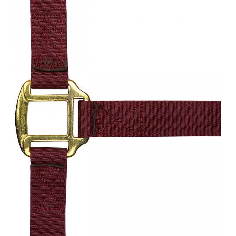 Chargez l'image dans la visionneuse de la galerie, Licol Nylon cuir