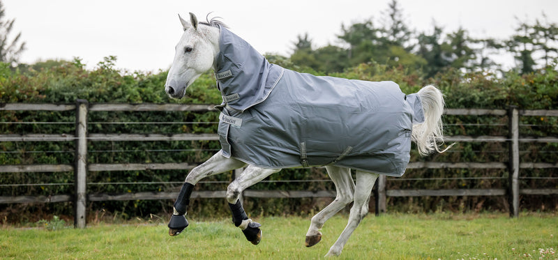 Chargez l'image dans la visionneuse de la galerie, smartex Medium