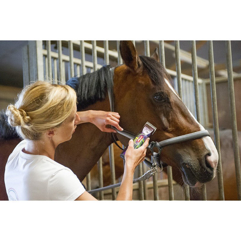 Chargez l'image dans la visionneuse de la galerie, Tondeuse de definition