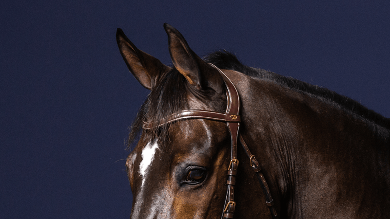 Chargez l'image dans la visionneuse de la galerie, Brun