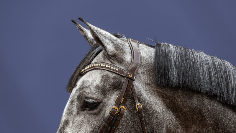 Chargez l'image dans la visionneuse de la galerie, Brun