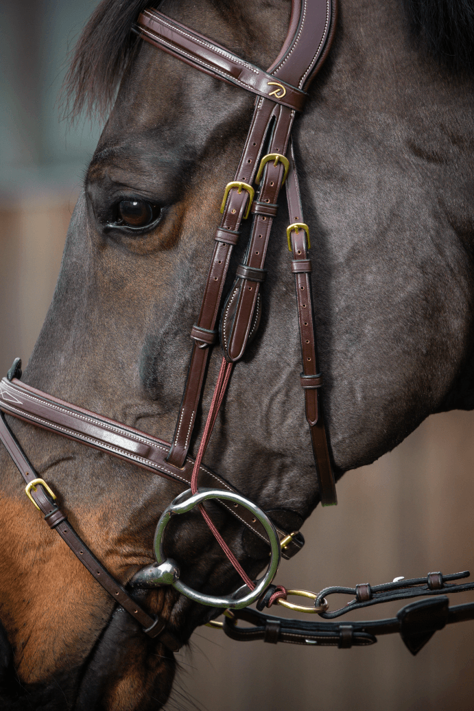 Chargez l'image dans la visionneuse de la galerie, Brun