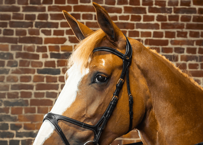 Chargez l'image dans la visionneuse de la galerie, Noir