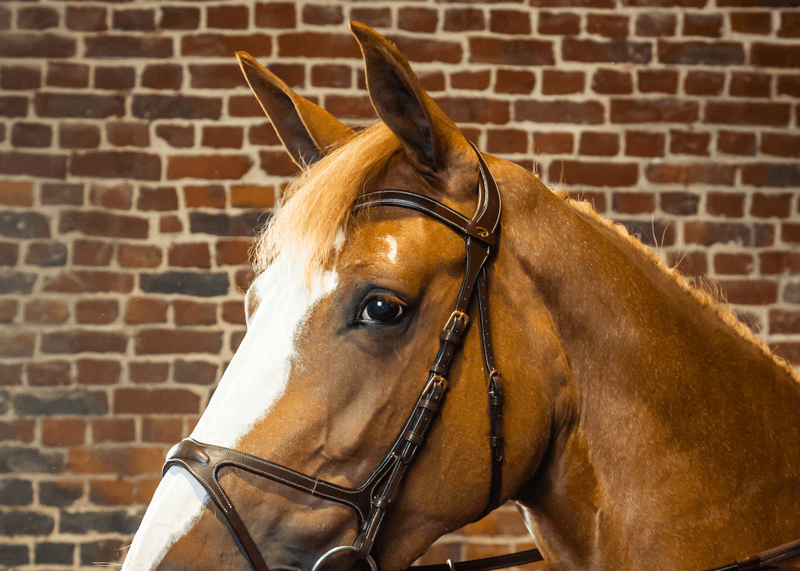 Chargez l'image dans la visionneuse de la galerie, Brun